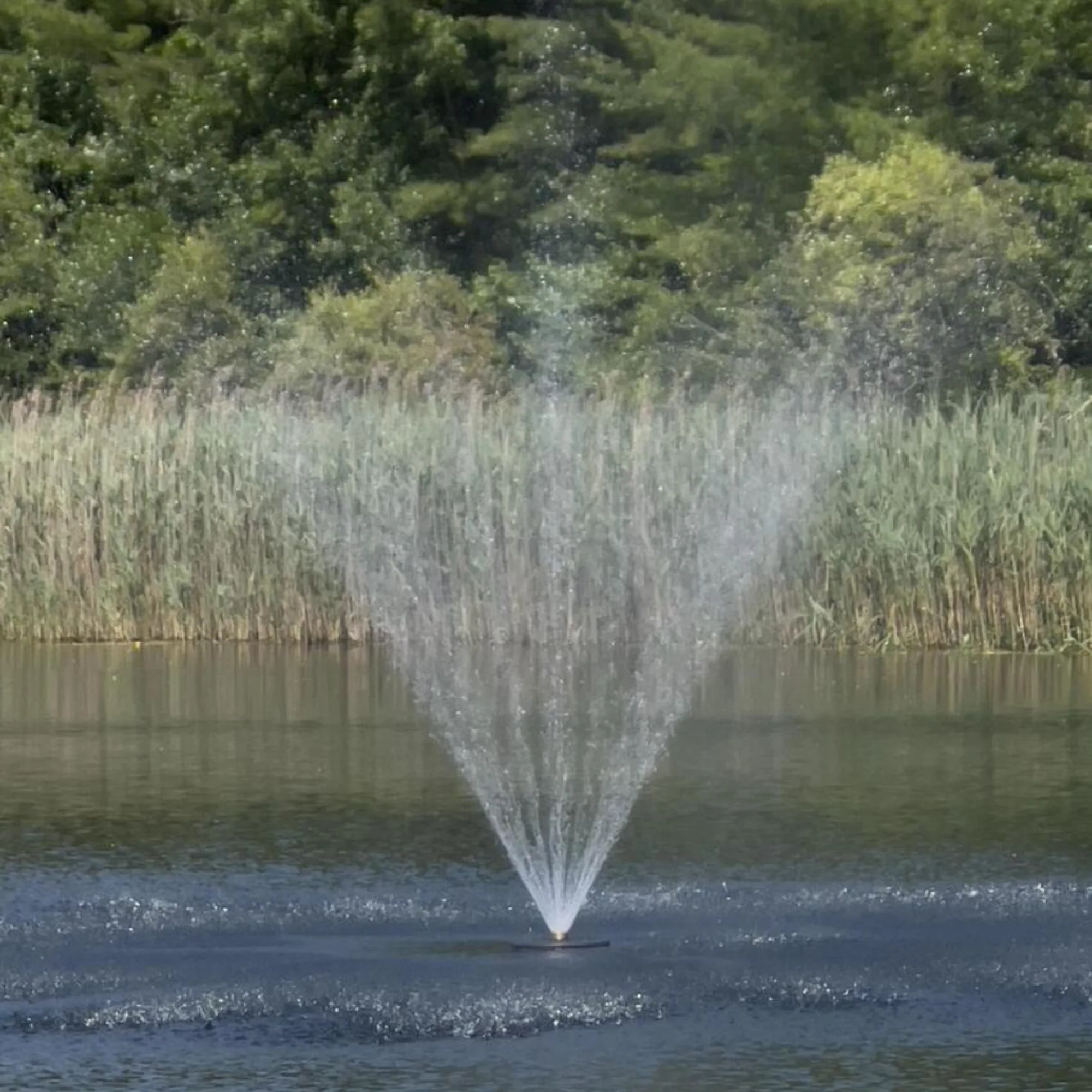 Floating Pond Fountain Pump 10-20ft Height | Large Pond Aerator  | Fish Safe | DIY Friendly | 110 or 220V AC Single Phase Dual Power - Image 5