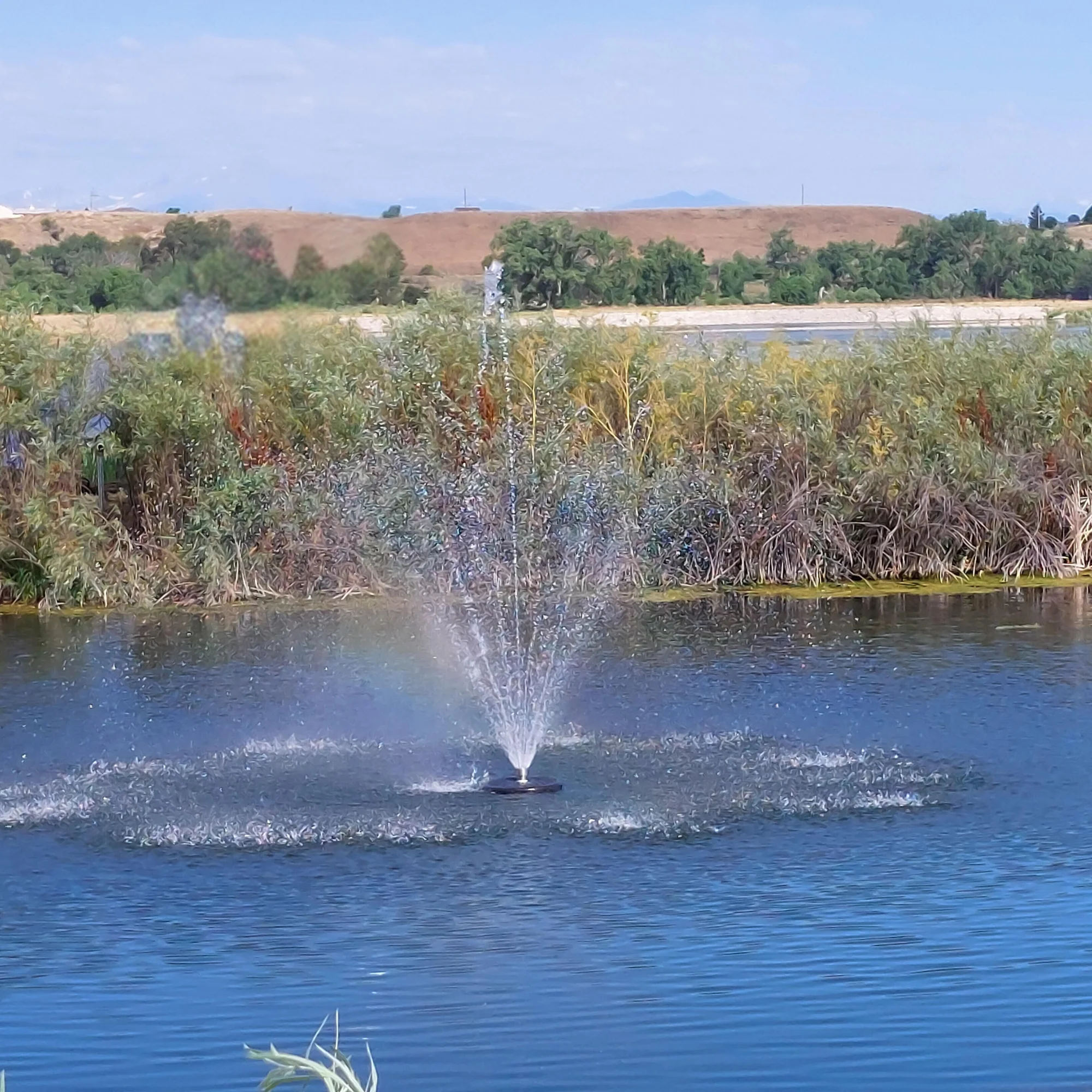 Floating Pond Fountain Pump 10-20ft Height | Large Pond Aerator  | Fish Safe | DIY Friendly | 110 or 220V AC Single Phase Dual Power - Image 6