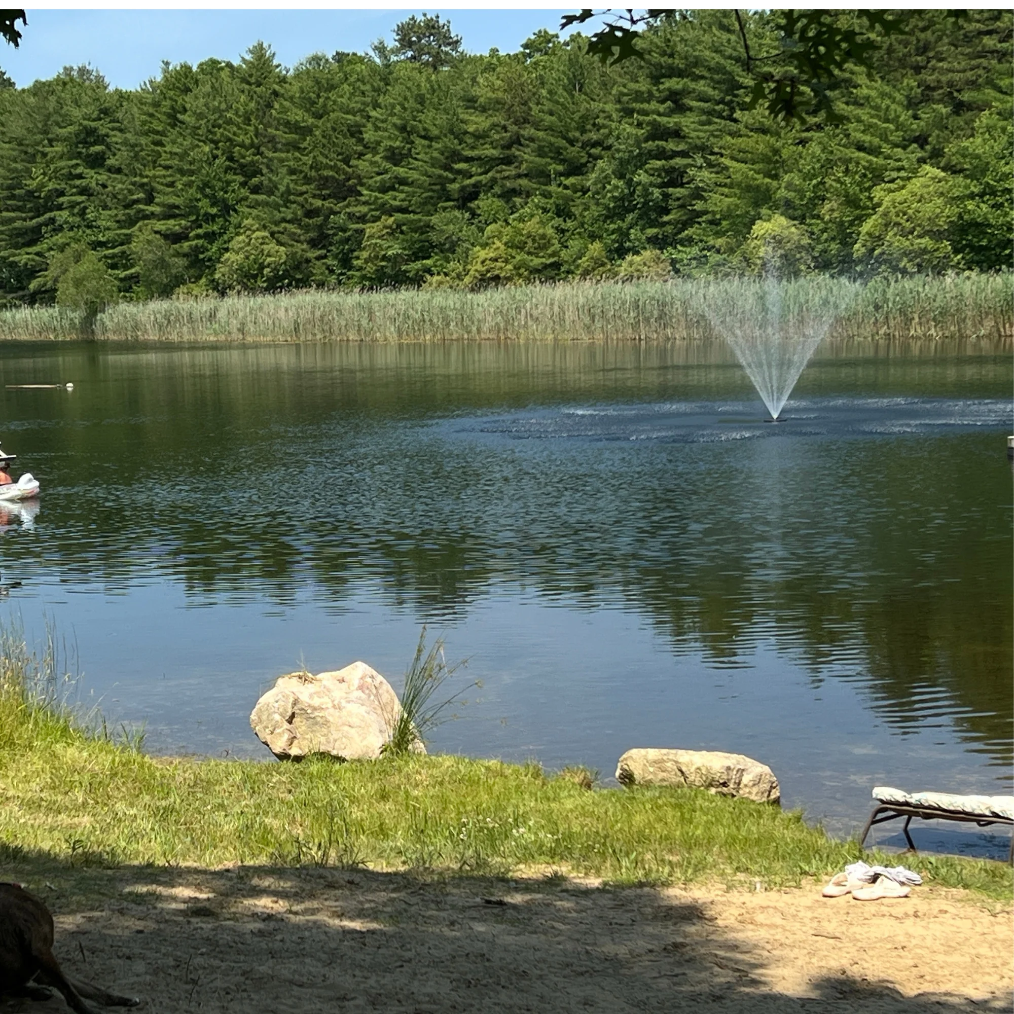 Floating Pond Fountain Pump 10-20ft Height | Large Pond Aerator  | Fish Safe | DIY Friendly | 110 or 220V AC Single Phase Dual Power - Image 8