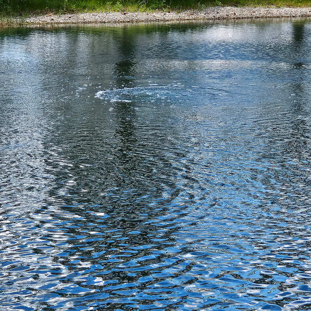 PondPride Pond + Lake Aerator Complete Kit with Weighted Diffuser Air Stone & 110V Compressor | DIY Pond Health Technology - Image 12