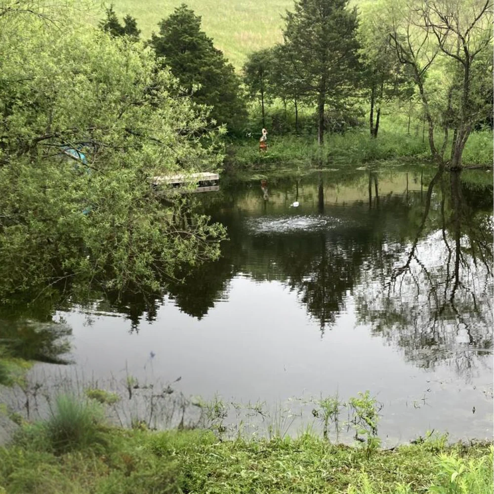 PondPride Pond + Lake Aerator Complete Kit with Weighted Diffuser Air Stone & 110V Compressor | DIY Pond Health Technology - Image 15